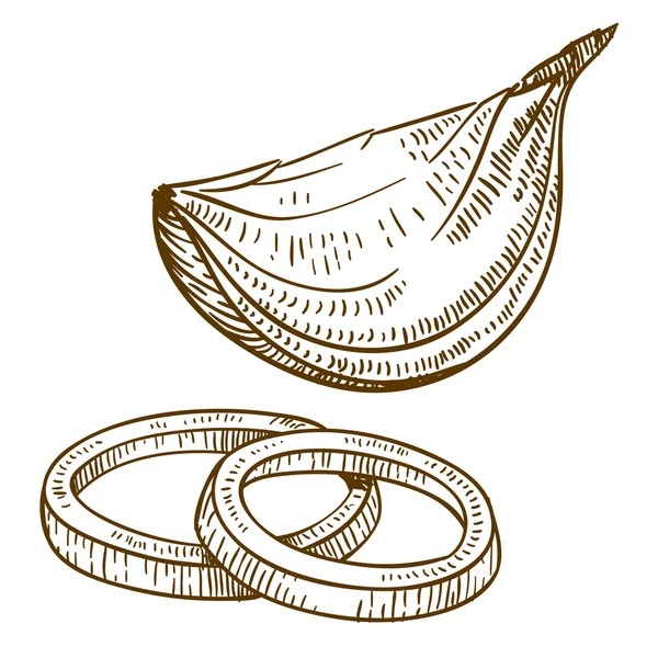 Гравюра антикварна Векторна ілюстрація скибочок цибулі — стоковий вектор