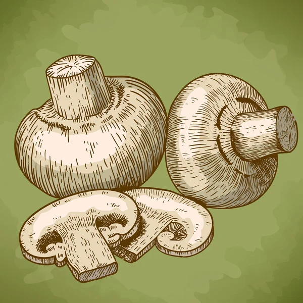 Illustration gravure de champignons — Image vectorielle