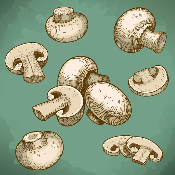 Incisione illustrazione di funghi champignons — Vettoriale Stock