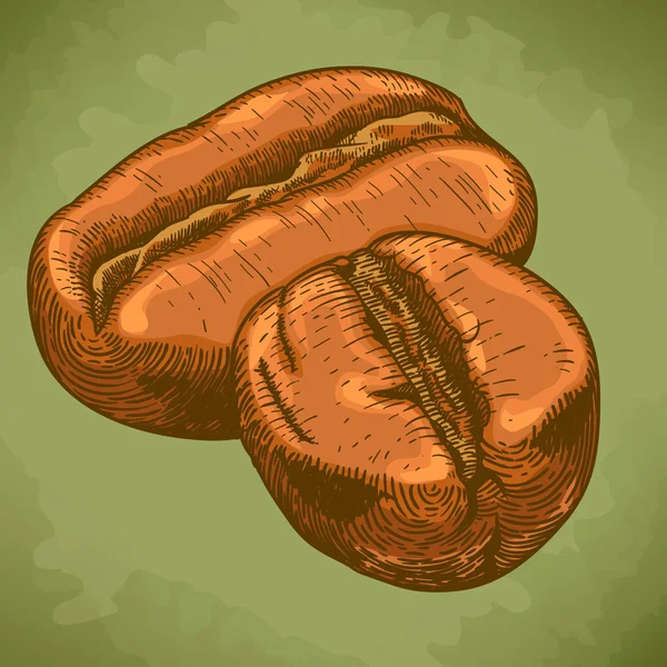 Gravyr antika illustration av två kaffebönor Stockvektor