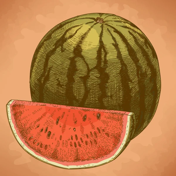 Gravur Illustration von Wassermelone — Stockvektor