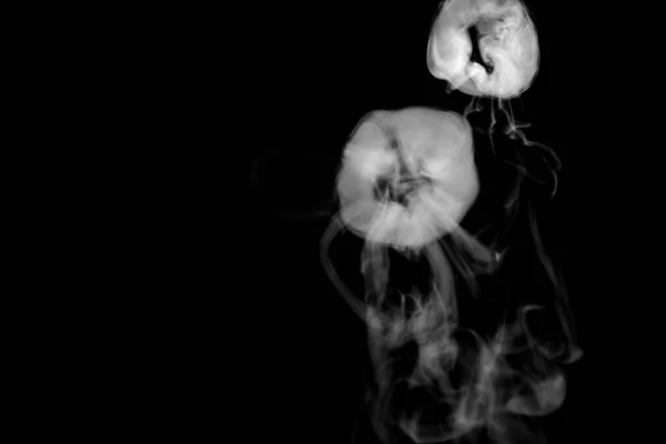 Circle Smoke Abstract Powder Water Spray Isolated Black Background — Stock Photo, Image