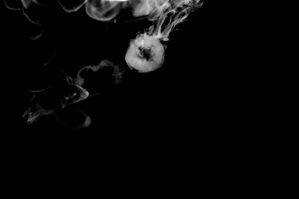 Kruhový Kouř Abstraktní Prášek Vodní Sprej Izolované Černém Pozadí — Stock fotografie
