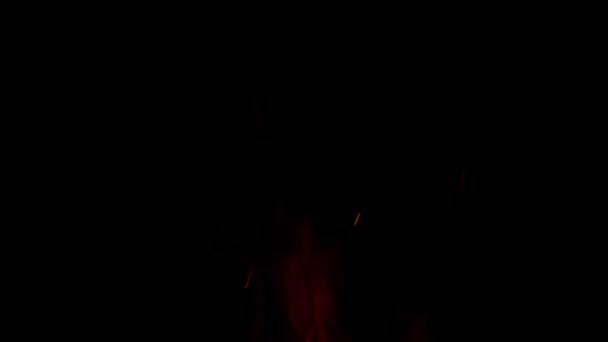 Справжнє Вогняне Полум Ізольоване Чорному Тлі Боєголовка Трави Пожежа Створення — стокове відео