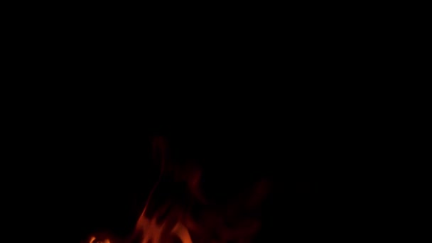黒い背景に孤立した本物の炎 草の上からのたき火 効果を上げるための火 — ストック動画
