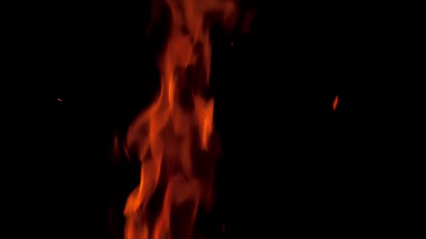 Riktiga Eld Lågor Isolerade Svart Bakgrund Brasan Från Gräset Eld — Stockvideo
