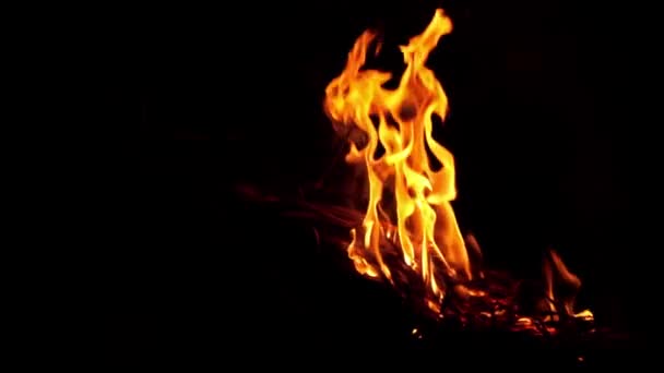 Echte Vlammen Slow Motion Geïsoleerd Zwarte Achtergrond Bonfire Van Het — Stockvideo