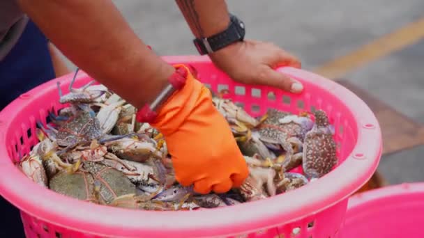 用手做的衣服 人们在红色篮子里挑选活螃蟹 码头旁边的海鲜市场上出售用绳子捆起来的螃蟹 — 图库视频影像