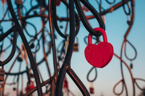 Close Castelo Árvore Metal Dos Recém Casados Apaixonados Forma Coração — Fotografia de Stock