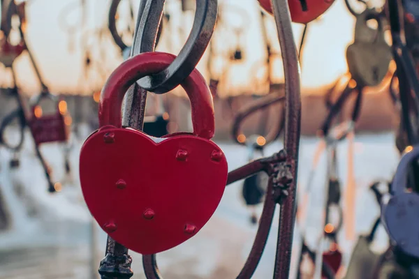 Primer Plano Del Castillo Árbol Metal Los Recién Casados Enamorados — Foto de Stock