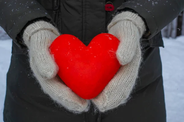 선택적 인사말 털북숭이 벙어리장갑을 암컷의 손에는 심장이 발렌타인데 컨셉이야 행복의 — 스톡 사진