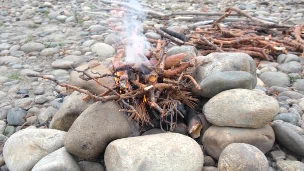 Una pequeña hoguera en piedras cerca de la orilla del río. Una hoguera de ramas de pino seco se enciende lentamente y fuma. — Vídeos de Stock