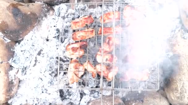 Des morceaux de viande juteux sur un gril métallique sont frits de tous côtés sur des charbons avec de la fumée. Vue de dessus. Cuisson de viande délicieuse. — Video