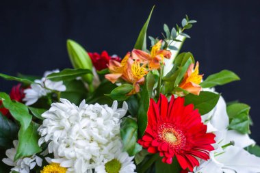 Parlak bir buket Gerbera kasımpatı zambakları koyu arkaplanda yeşil yapraklar. Her durum için çiçek arkaplanlı bir kutlama kartı. Seçici odaklanma. Boşluğu kopyala.