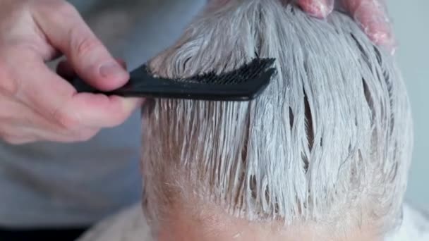 中年女性の白髪染め 老客の白髪に主人が絵を描く 染料を均等に分散させるために染色後に髪をブラッシング — ストック動画