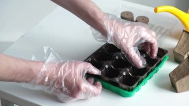 Growing seedlings at home. A man places peat tablets in a special container.