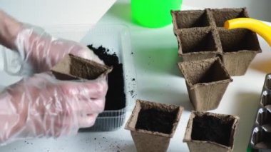 Preparing and growing seedlings at home. A man pours soil into peat pots for seedlings.