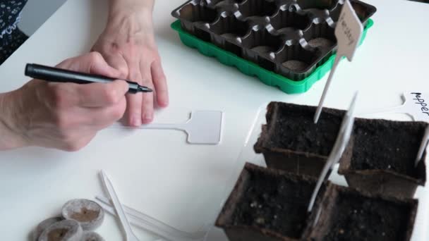 Gros plan d'une femme écrivant un nom sur un panneau de jardin, sur une table avec des pots de terre préparés et des graines. — Video