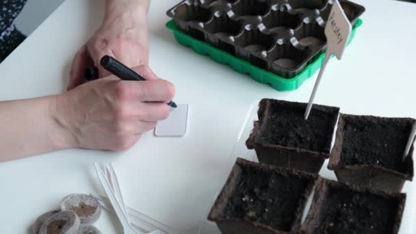 Gros plan d'une femme écrivant un nom sur un panneau de jardin, sur une table avec des pots de terre préparés et des graines. — Video