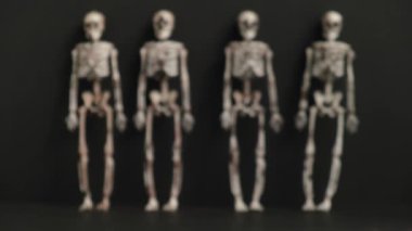Dört bulanık iskeletin arka planına karşı, küçük turuncu toplar yavaş çekimde tepeden tırnağa düşer. Sonunda, her şey dağılır, çöker. Koyu arkaplanda geleneksel Cadılar Bayramı dekorasyonu