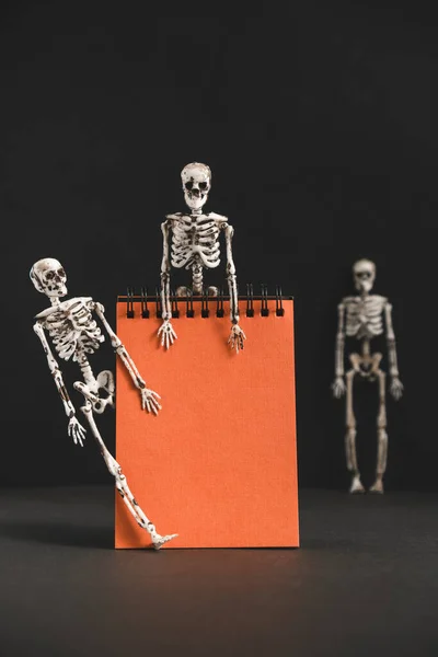 Siyah arka planda iskeletleri olan boş turuncu bir defter. Tebrikler ya da davetiyeler için afiş. Cadılar Bayramı hazırlıkları için minimalist bir tatil tasarımı. Boşluğu kopyala.
