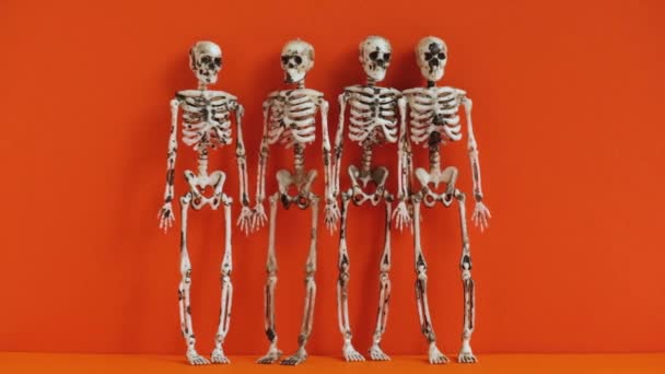 Turuncu Arka Plandaki Dört Iskelet Birlikte Sallanır Düşer Ağır Çekim — Stok video