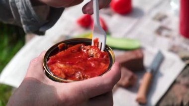 Doğada piknik. Bir adam domates soslu konserve balığı çatalla alıyor. Arka planda sebze ve ekmekle hazırlanmış doğaçlama bir masa. Fast food, lezzetli aperatif.