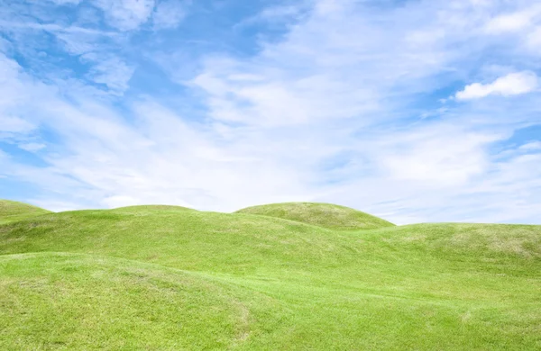 Grass and blue sky background Royalty Free Stock Images