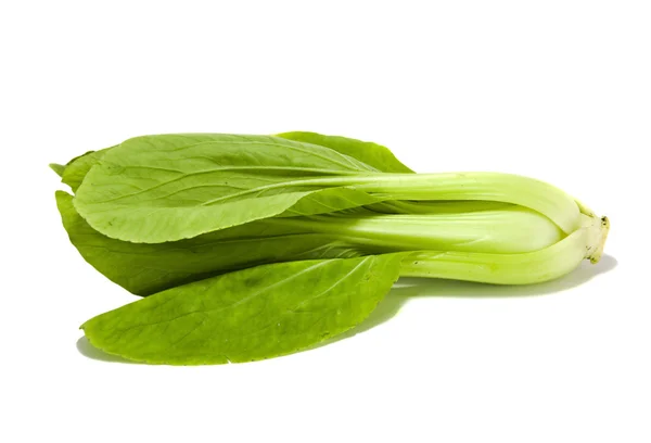 Beyaz arka planda izole edilmiş Çin lahanası