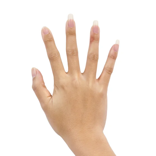 Mão de uma mulher no fundo branco — Fotografia de Stock