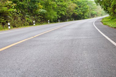 Yol ve yeşil ağaçlar