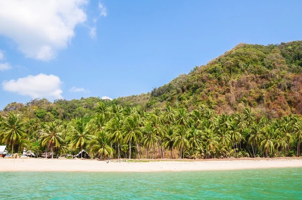 热带的海滩和椰子树木 — 图库照片