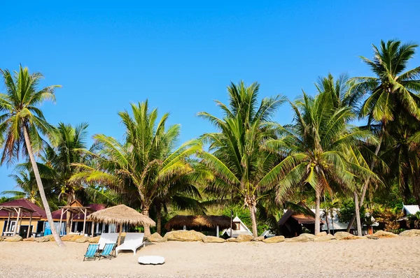 地处热带的海滩小屋和椰子树木 — 图库照片
