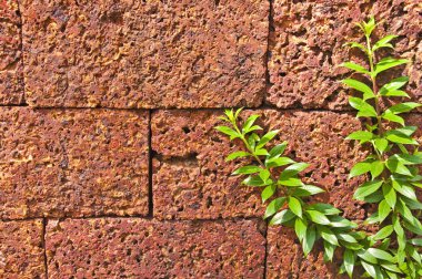 kırmızı tuğla duvar