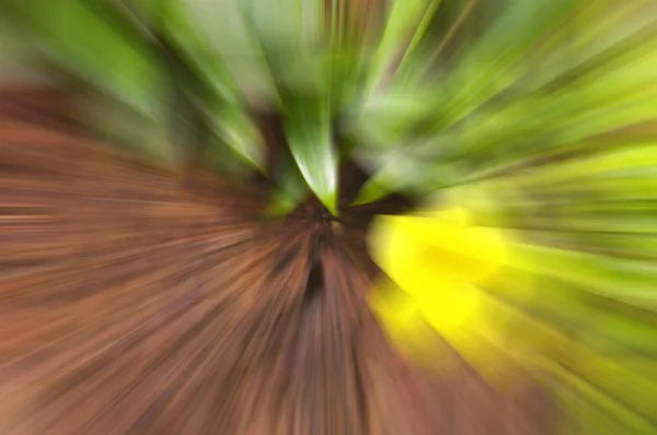 Elvont színek - radial blur (zoom) — Stock Fotó