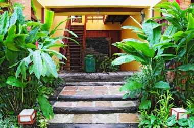 güzel bir tropik bahçe