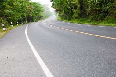 Yol ve yeşil ağaçlar