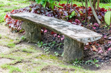 Bahçede bir ağaç ahşap Bank