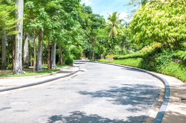 Eğri yol ve Park ağaç görünümü