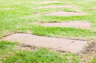 Blok taş yürüyüş yolu bahçesinde bulunan yeşil çimen