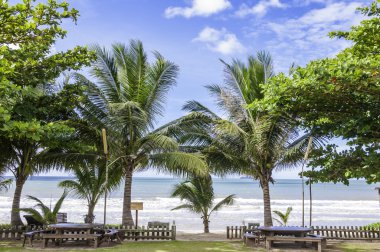 Seaview Resort, Hindistan cevizi palmiye ağaçları, Tayland ile tropikal plaj