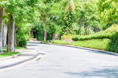 Eğri yol ve Park ağaç görünümü