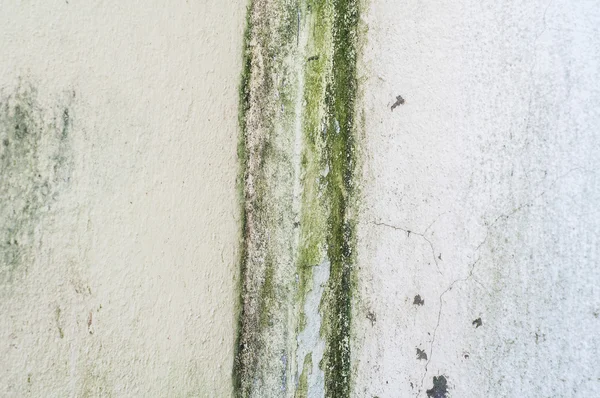 Staré betonové zdi pokryté mechem plísní — Stock fotografie