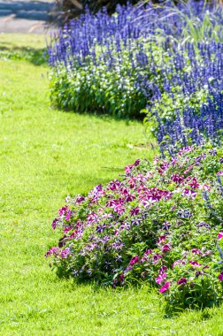 Çiçek Bahçesi arka plan