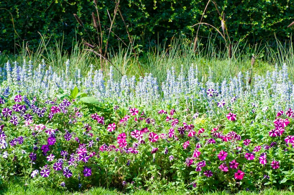 Çiçek Bahçesi arka plan