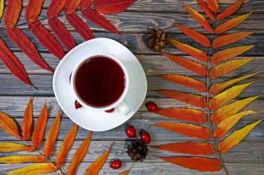 Beyaz çay fincanı, güz yapraklı, ahşap arka planda gül kalçalı. Sonbahar yaşam tarzı