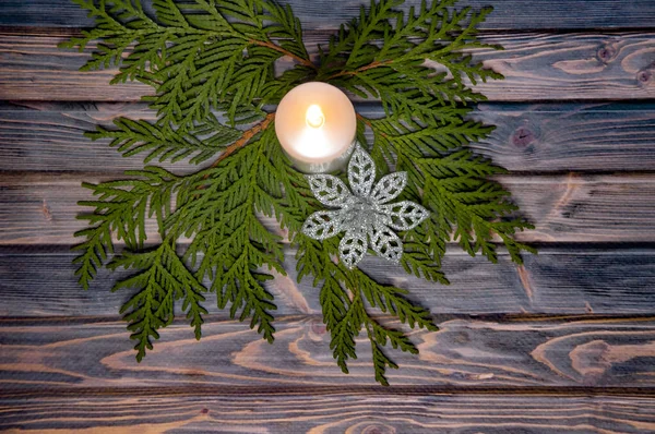 어두운 배경에 소나무 크리스마스 가지와 — 스톡 사진