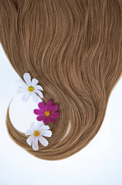 Gezond Mooi Haar Bloemen Een Witte Achtergrond Haarverzorging Kopieer Ruimte — Stockfoto