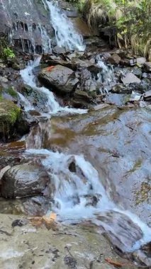 Bukovel 'deki Küçük Dağ Şelalesi, Karpatlar, Ukrayna