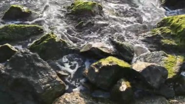 Su dalgaları ve köpükler sahil kayalıklarına çarpıyor. Yeşil yosunlar. (4k)